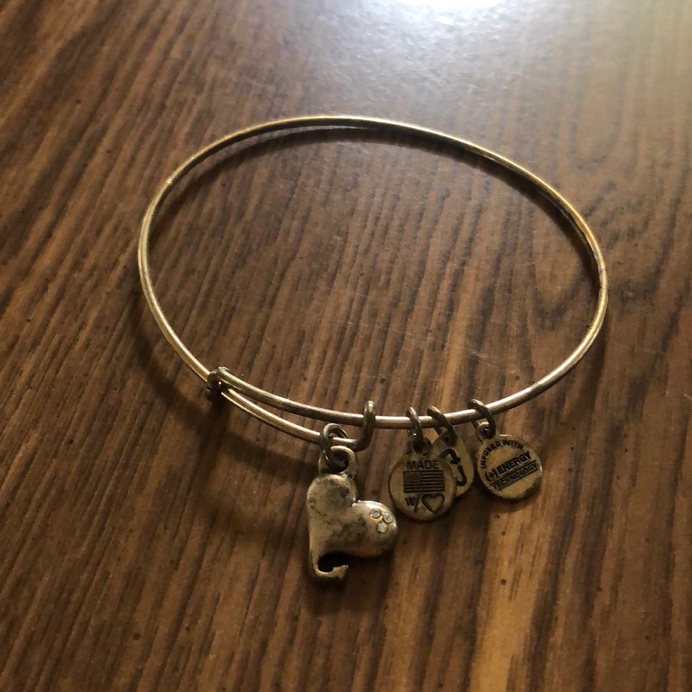Alex and Ani Heart ❤️ bracelet Love | Light | Joy